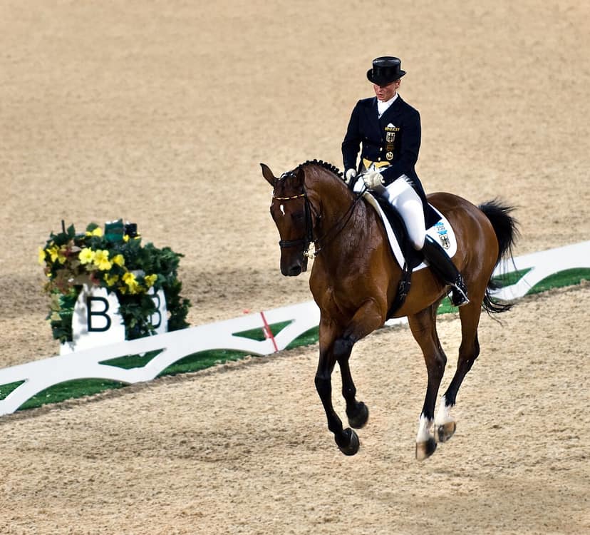 Katharina Hemmer secures bronze, Isabell Werth goes home empty-handed