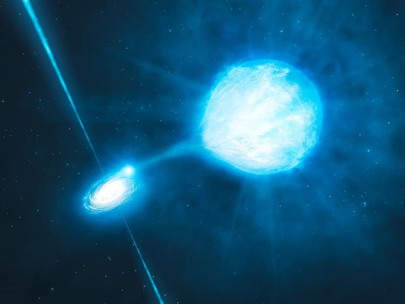 James Webb detects possible "black hole star"