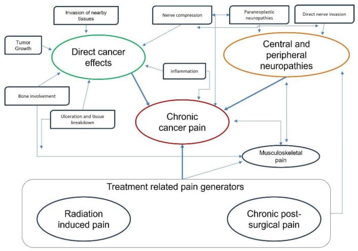 Madeira performs pioneering procedure for chronic pain