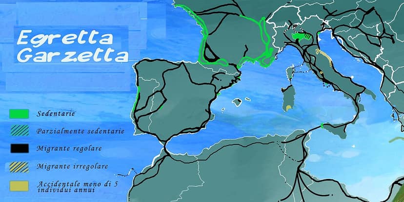 Drought in Northern Italy, Po and Ticino Rivers in Water Crisis
