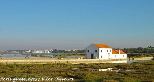 Archieffoto: Ecomuseu do Corvo organiseert workshop over barreta