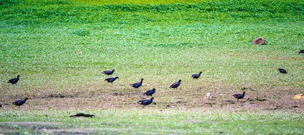 Foto de arquivo: Ceuta não sabe quantos menores entraram no território