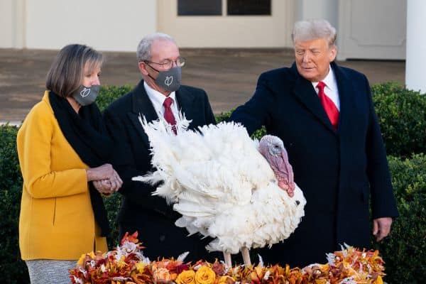 Trump Explains Plane Switch Amid Security Concerns in Turkey