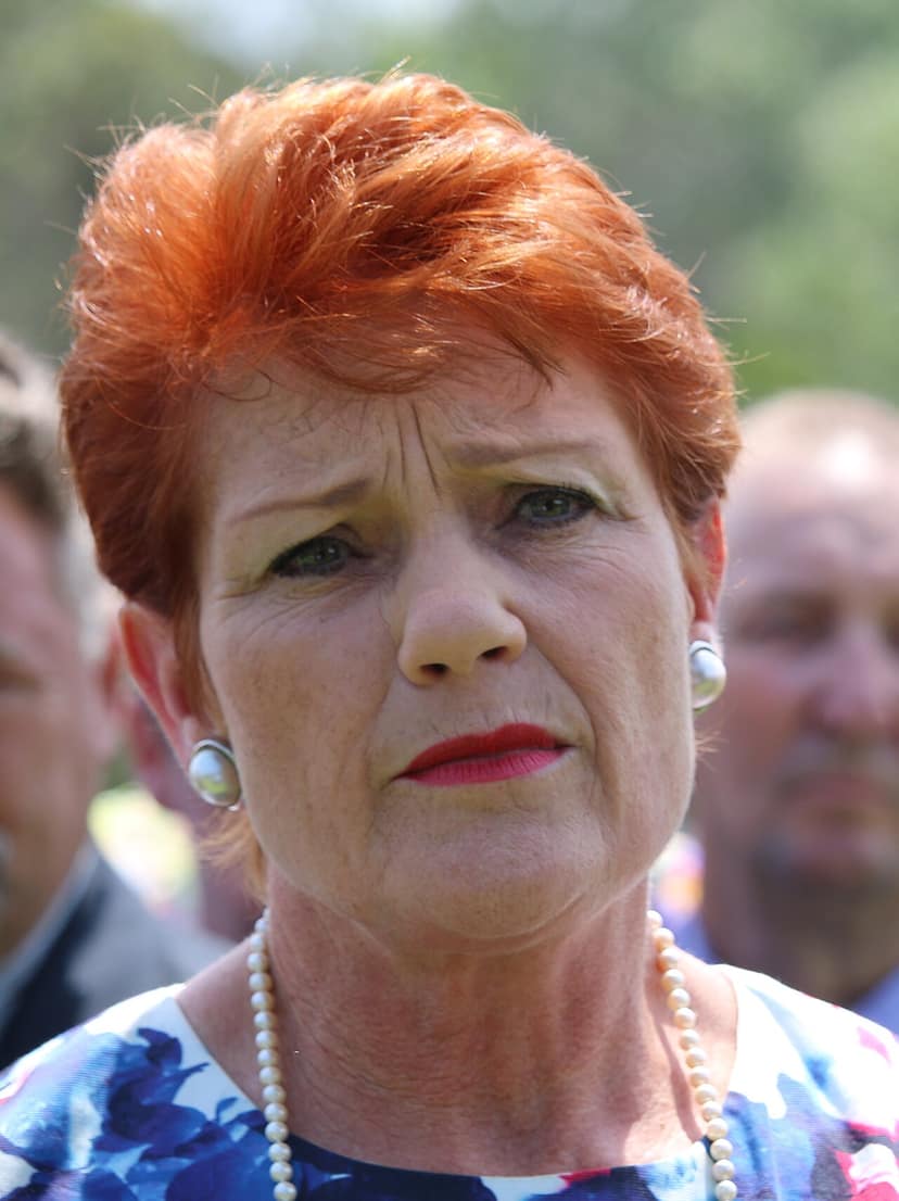 Hanson risponde ai commenti del deputato di One Nation sui target migratori
