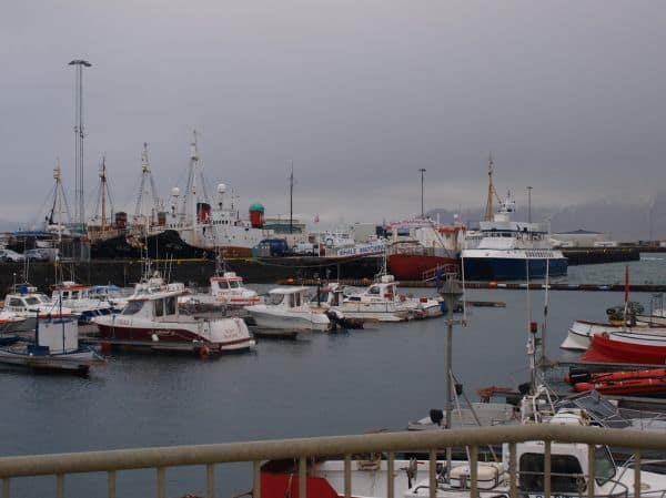 Archieffoto: IJsland stemt tegen hervatting van EU-toetredingsgesprekken