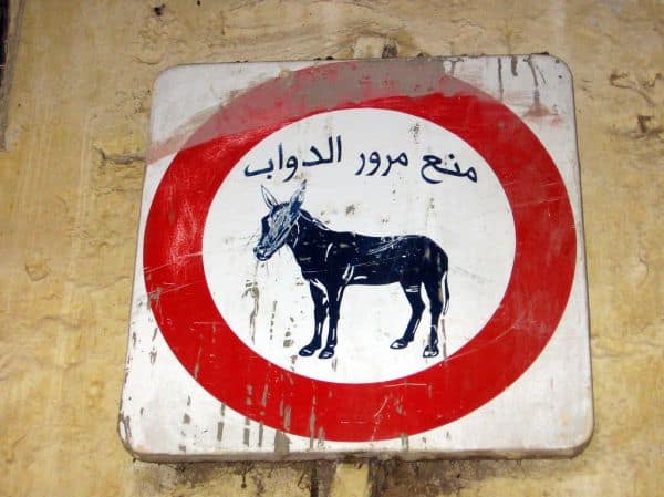 Archive photo: Police kills donkey during search for missing child