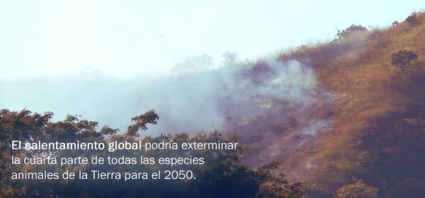 Hitzewellen und Waldbrände verwüsten Europa im Sommer 2023