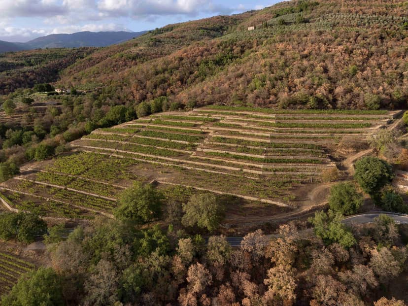 Opposition demands sanctions for Bignami after comments on Scalfaro