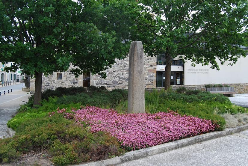 Finistère: Frau getötet und Sohn von einem Wütenden in Plourin-lès-Morlaix verletzt