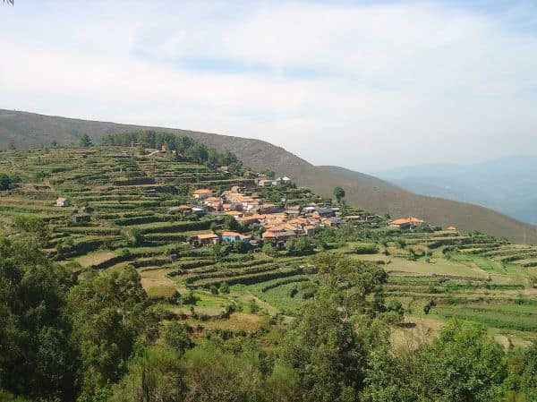 Vier brandweermannen gewond bij voertuig uit de bocht in Arouca