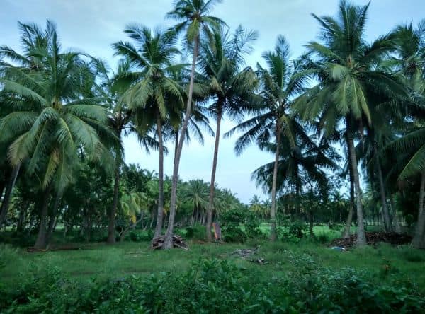 Photo d'archive: Le CM de l'Andhra Pradesh ordonne une recherche intensifiée pour des pêcheurs disparus