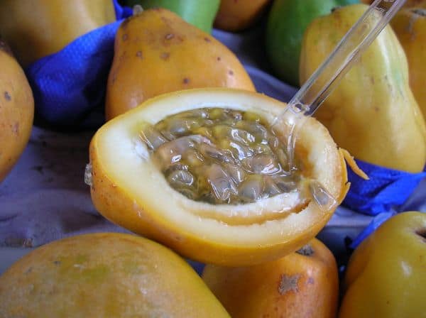 Export van fruit, groenten en bloemen daalt met 3,5% in het eerste halfjaar