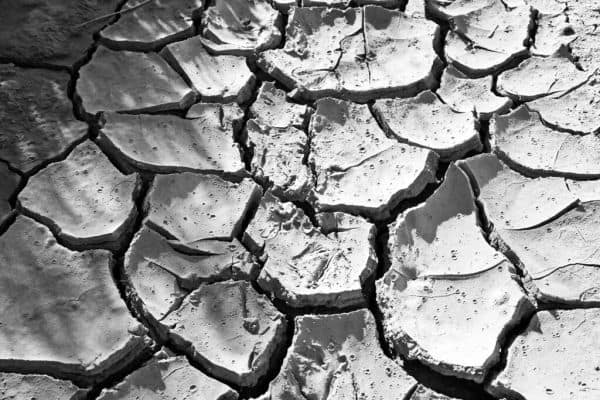 Siccité déclarée dans près des trois quarts de l'Angleterre suite à des conditions sèches