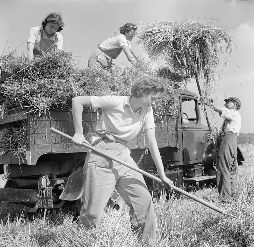 Siccité déclarée dans près des trois quarts de l'Angleterre suite à des conditions sèches