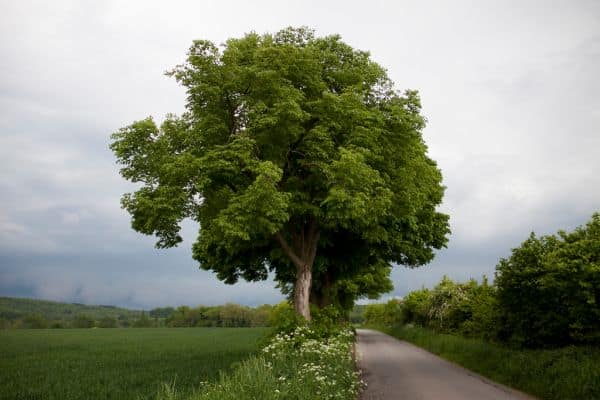 Wettervorhersage für die Ukraine und Kirgisistan vom 15. bis 18. September