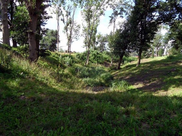 Overblijfselen van zwangere vrouw uit de tijd van de steentijd ontdekt op Gotland