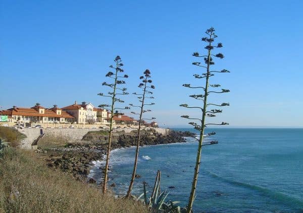 Archivbild: Schwerer Unfall an der Marginal de Cascais fordert ein Todesopfer