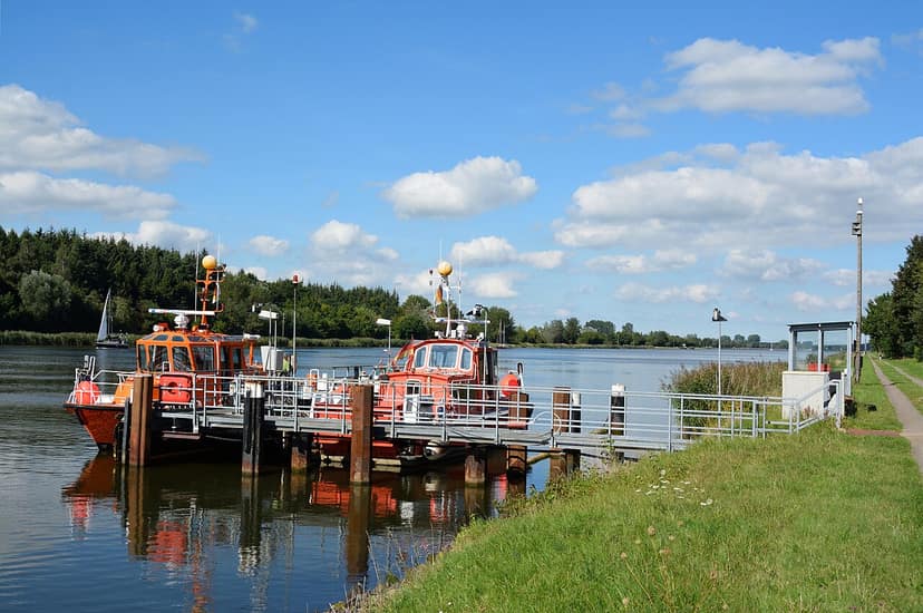 Descoberta de uma píton-real na margem de um canal em Schleswig-Holstein