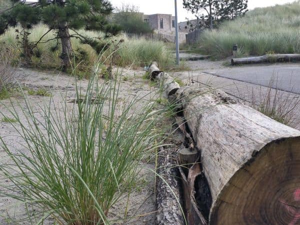 Bouw grensbewaking in Big Bend National Park stilgelegd na protest