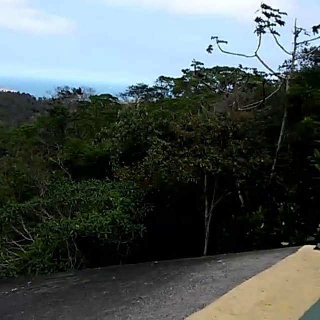 Quercus exige ação do Governo sobre acessos às praias de Grândola