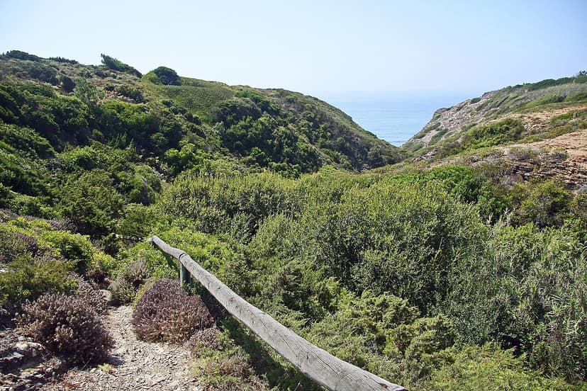 Quercus exige ação do Governo sobre acessos às praias de Grândola