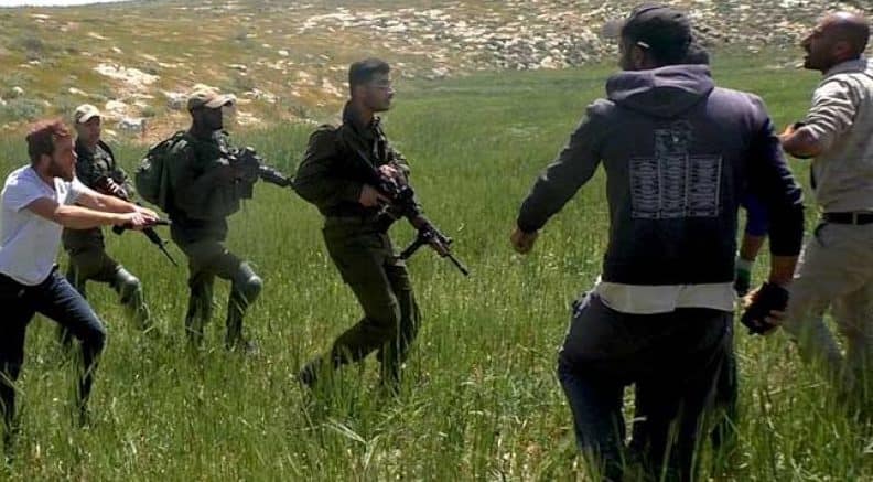 Archieffoto: Israëlische kolonisten steken olijfbomen in brand en verwonden journalist op Westelijke Jordaanoever