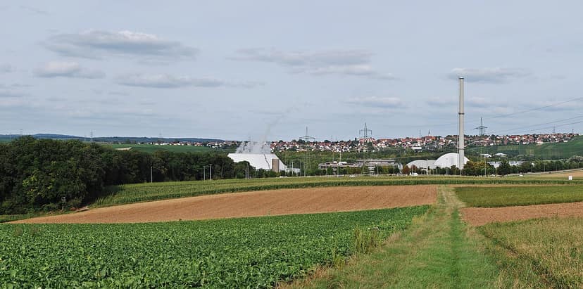 Une invasion de méduses force l'arrêt de trois réacteurs nucléaires en France