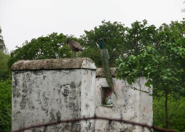 Foto de archivo: Aumenta el número de muertes en caso de licor adulterado en Gujarat