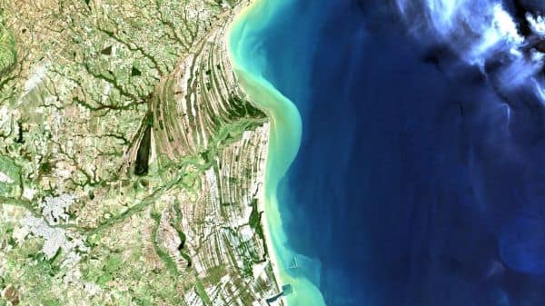 Test effettuati in Brasile identificano problemi in oli d'oliva di marche portoghesi