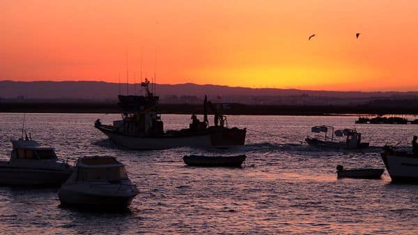 Tre morti, tra cui un minorenne, in una sparatoria a Isla Cristina