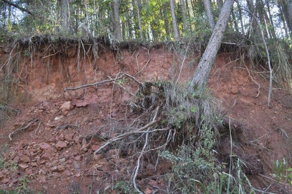 Foto de arquivo: Líbano critica destruição 'sistemática' por parte de Israel no sul do país