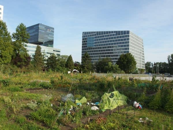 Photo d'archive: Le chiffre d'affaires de l'industrie des semi-conducteurs néerlandaise plus que doublé en six ans