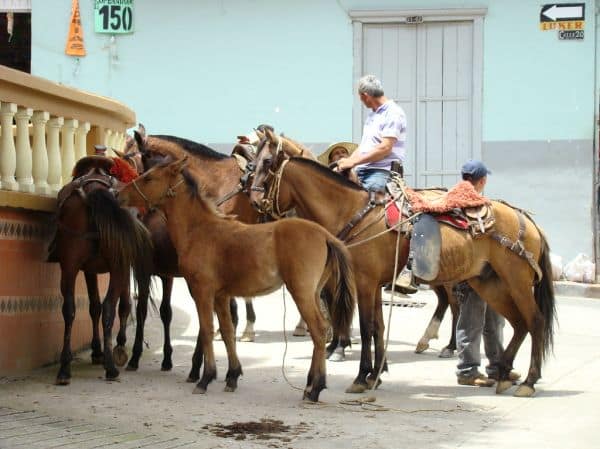 Aardbevingen treffen Granada, waardoor schade en verwondingen ontstaan