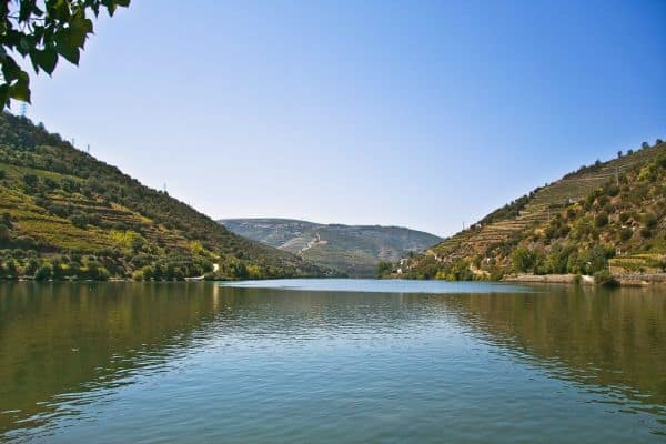 Regering kondigt financiële steun aan voor wijnbouwers in de Douro
