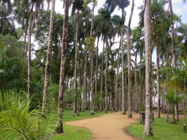El recluso Ivan Pamina escapa durante trabajos en Paramaribo
