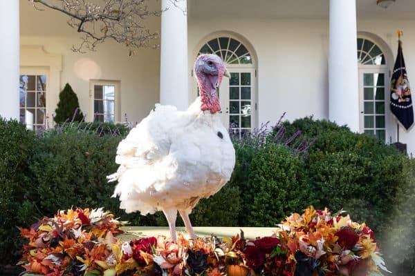 Trump a utilisé un chariot de traiteur pour un départ secret de Turquie face à une menace iranienne
