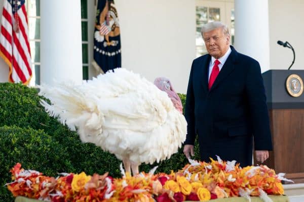 Trump ha utilizzato un carrello per catering per una partenza segreta dalla Turchia