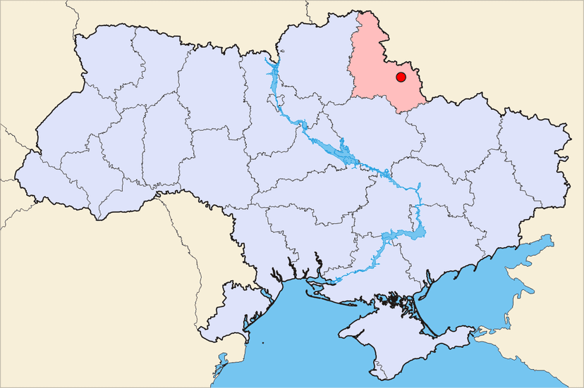 Mother and son killed in Russian attacks in Ukraine