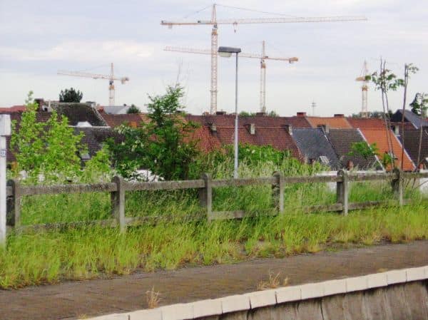 Archivbild: Proximus, Orange und Telenet wehren sich gegen die Politik der IBPT