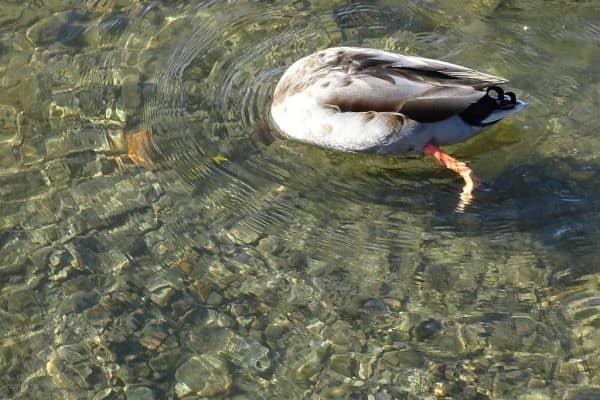 Wasserrechnungen im Vereinigten Königreich steigen um 3,4 Milliarden £ nach Genehmigung durch Regulierungsbehörde
