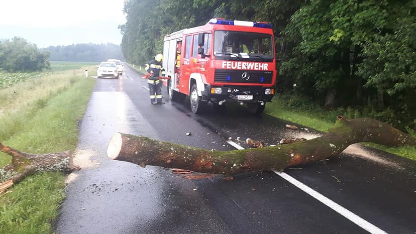 Foto de arquivo: Tempestade no Báltico: Dezenas de milhares de lares continuam sem eletricidade