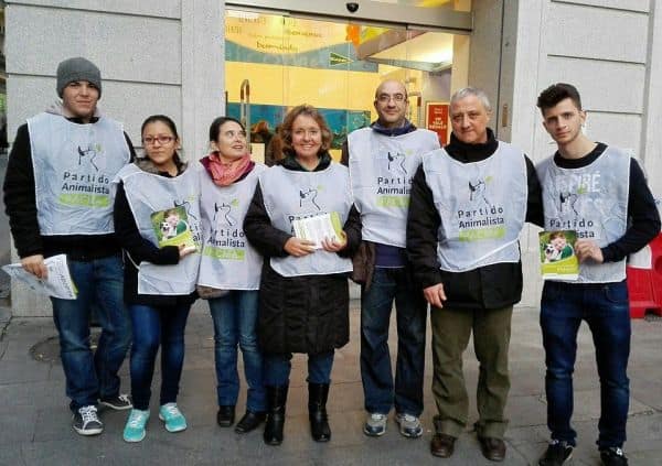 Resident of Valdepeñas reported for killing 40 cats