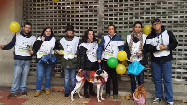 Resident of Valdepeñas reported for killing 40 cats