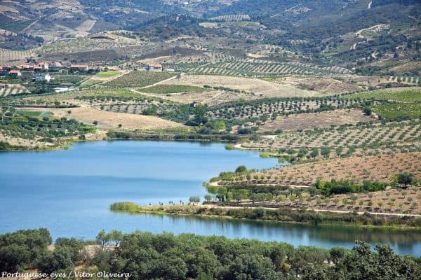 Produção de eletricidade renovável em Portugal cai para 75% até julho