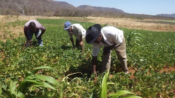 Foto de arquivo: Braskem considera pedido de recuperação extrajudicial para reestruturar dívidas