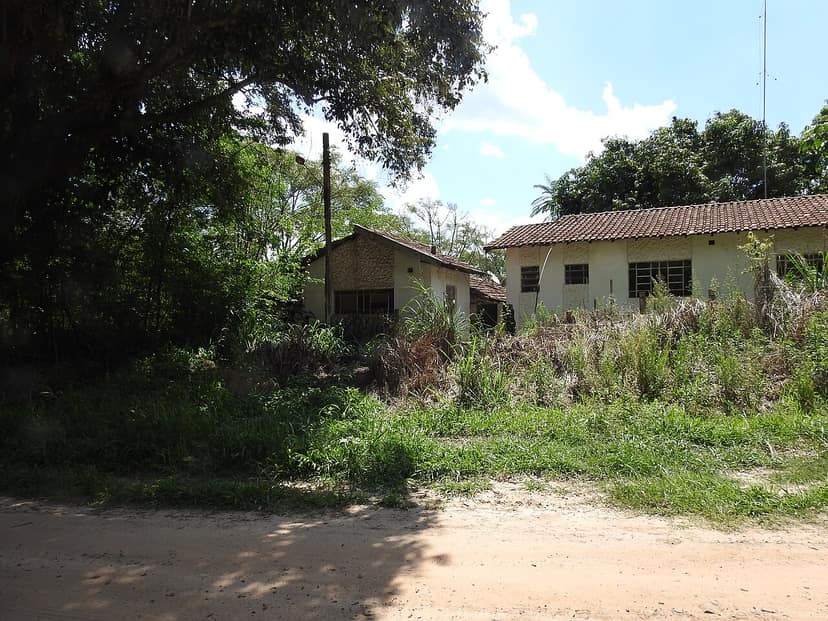 Mais de 120 pessoas identificadas por abandono de animais