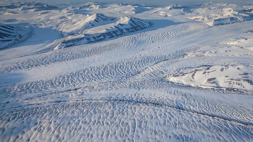 Arctic: Thirteen reindeer die under unexplained circumstances