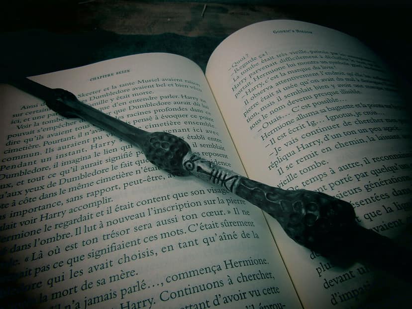 Fãs de Harry Potter evitam construção de cabo junto ao 'túmulo' de Dobby