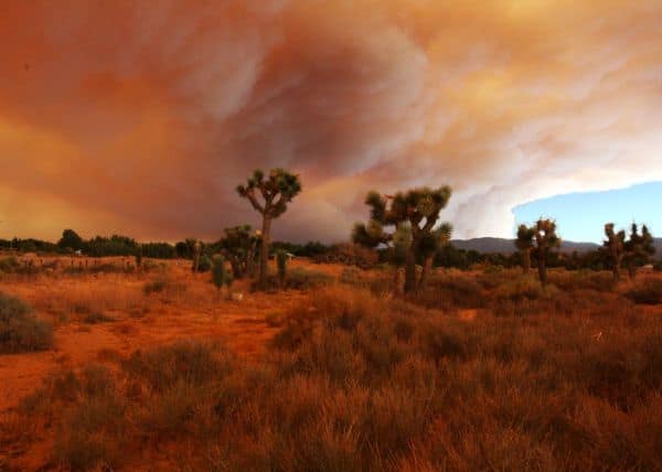 Waldbrände in Südkalifornien führen zu Evakuierungen und Stromausfällen