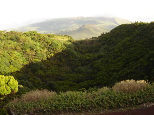 Foto de archivo: Terremoto de magnitud 3,7 registrado en la isla de Pico